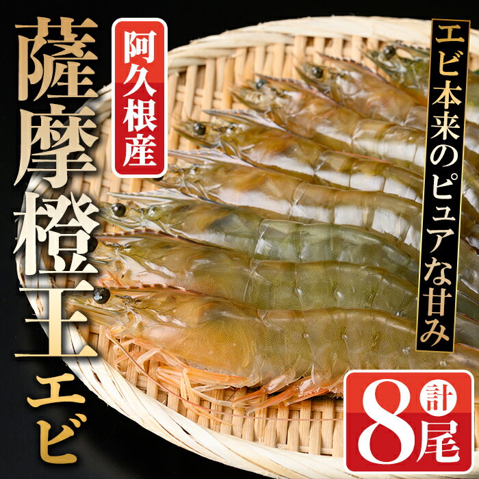 【ふるさと納税】薩摩橙王エビ(4尾入×2パック) 国産 鹿児島県産 阿久根市産 えび 海老 魚貝類 魚介類 海産物 養殖 冷凍 期間限定 数量限定 焼き海老 焼きエビ バナメイエビ シロアシエビ 生食可【リージョナルフィッシュ株式会社】akn105-01