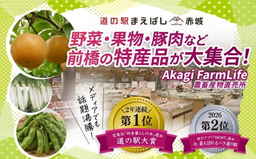 太陽のとうもろこし 【ゴールドラッシュ】 10本セット | とうもろこし トウモロコシ 朝採れ 野菜 旬野菜 甘い 高糖度 群馬県産 産地直送 ギフト 新鮮コーン フルーツ 美味しい サラダ スープ 子ども こども 道の駅 まえばし赤城 群馬県 前橋市