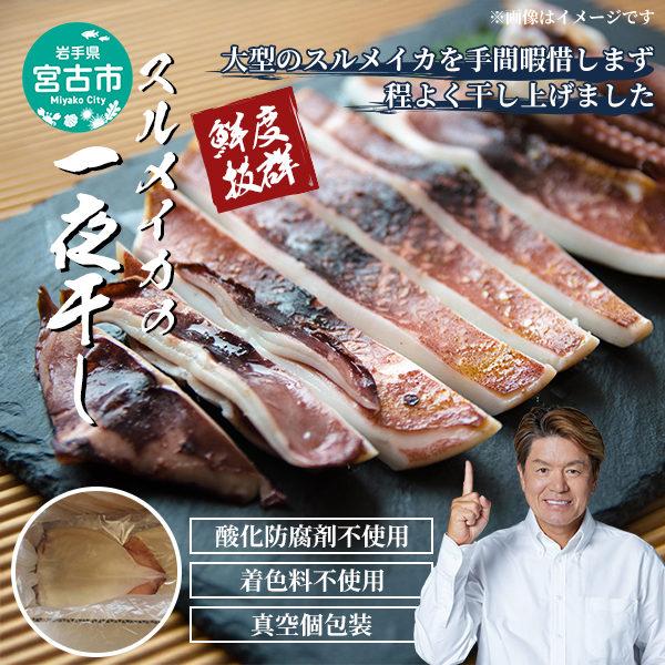 【宮古市】スルメイカの一夜干し5枚セット 岩手県宮古市 冷凍 真空包装 スルメイカ