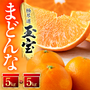「玉宝ブランド」【まどんな】10kg　※紅まどんな と同品種　【H64-42】【1511380】 YWTY031