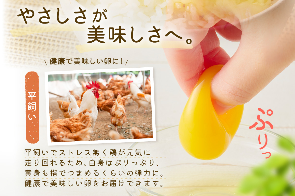 【12回定期便】平飼いで のびのび！ばあちゃんの昔たまご 20個/月 割れ保証あり 999-B1235