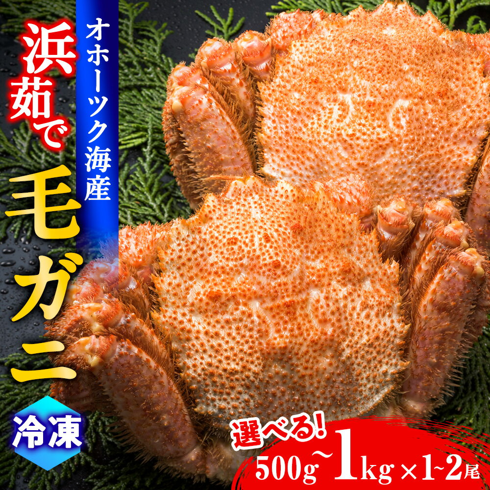 【ふるさと納税】冷凍 毛ガニ 選べる大きさ・尾数　毛蟹（約500g～約1kg） 1尾または2尾 かに カニ 蟹 北海道産 浜頓別町北海道ふるさと納税 ふるさと納税 北海道 浜頓別 通販 贈答品 贈り物
