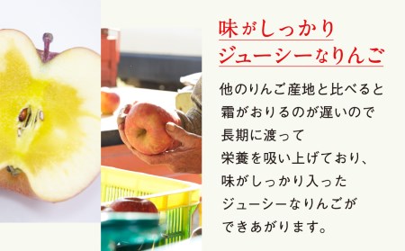 【2024年 先行予約】米崎りんご３㎏【品種おまかせ１種】