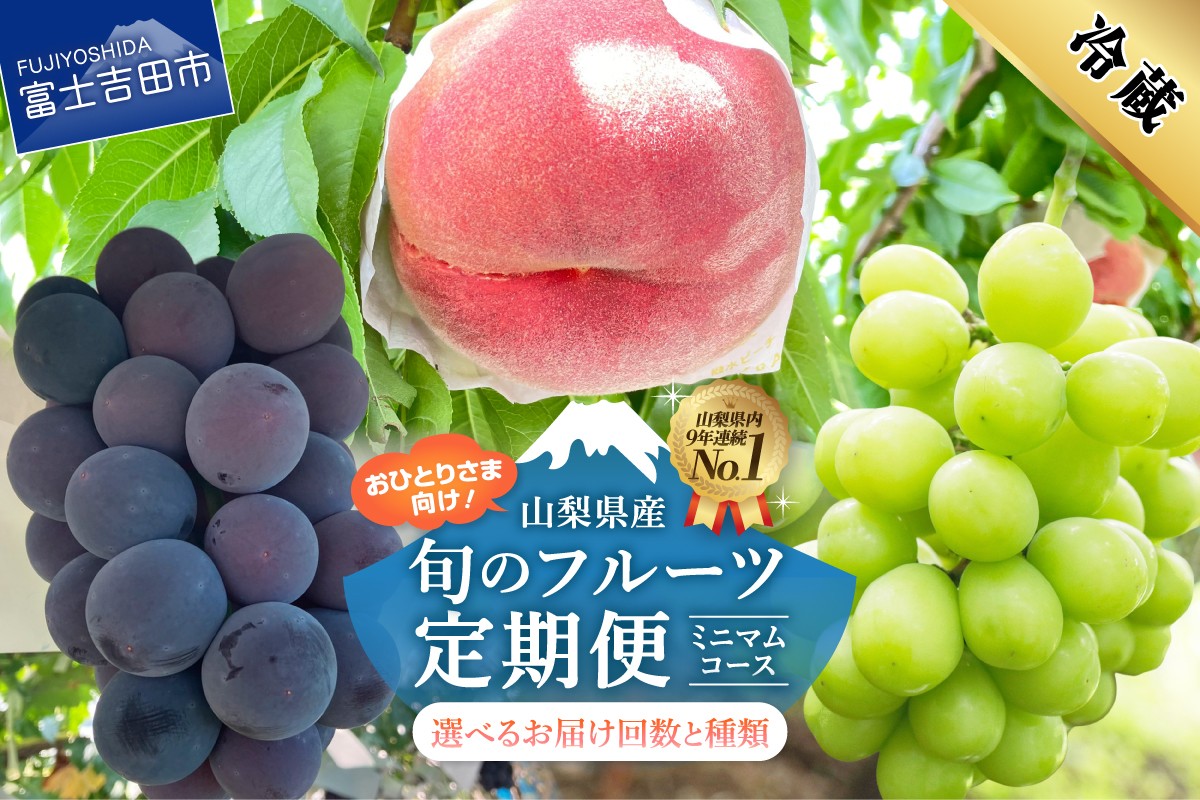
                  【2026年発送】 【定期便】 厳選 旬のフルーツ定期便 【選べる定期便 2回 3回】 もも シャイン マスカット 黒ブドウ ぶどう 果物 おひとりさま 贅沢 ミニマム 定期便 フルーツ 山梨 富士吉田
                