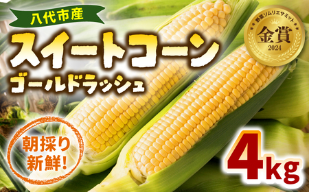 熊本県八代市産 スーパースイートコーン ゴールドラッシュ 4kg スイートコーン とうもろこし 朝採り 高糖度 BBQ バーベキュー レンジ調理 レンチン とうもろこしご飯 焼きトウモロコシ かき揚げ プチプチ食感