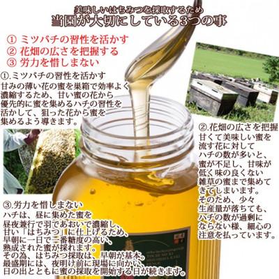 ふるさと納税 富山市 富山県産レンゲ蜂蜜500g×1本・トチの木蜂蜜500g×1本　セット |  | 02
