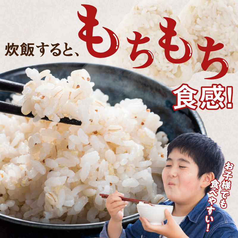 【メール便でお届け】久留米市産もち麦（450g×2袋）_【メール便でお届け】久留米市産もち麦（450g×2） 福岡県 久留米市 お取り寄せ 送料無料_Gr051