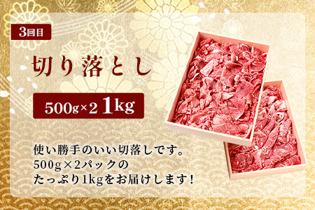 お試し定期便 【 定期便 3回 】 総重量 1,900g 牛肉 椎葉牛の スライス肉 ＆ 切り落とし肉 定期便 【 日本三大秘境 椎葉村 育ちの黒毛和牛 】[ 牛肉 定期便 定期配送 肉 スライス肉 