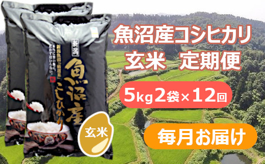 【先行予約】【令和7年産 新米玄米】【12か月定期便(毎月全12回)】魚沼産コシヒカリ棚田米 玄米10kg(5kg×2袋)×12回(毎月お届け)※2025年9月下旬以降より順次発送予定 佐藤農場 【0018-0010DB00-01】