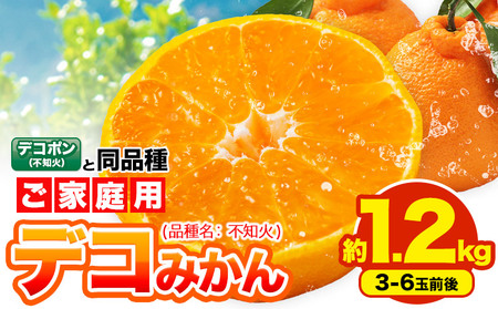 不知火 デコみかん ( デコポン と同品種 ) ご家庭用 訳あり 熊本県産 ( 苓北町産含む )約1.2kg(3-6玉前後) 柑橘 《2026年2月上旬-3月末頃出荷》 みかん フルーツ 不知火 訳アリ でこみかん 果物