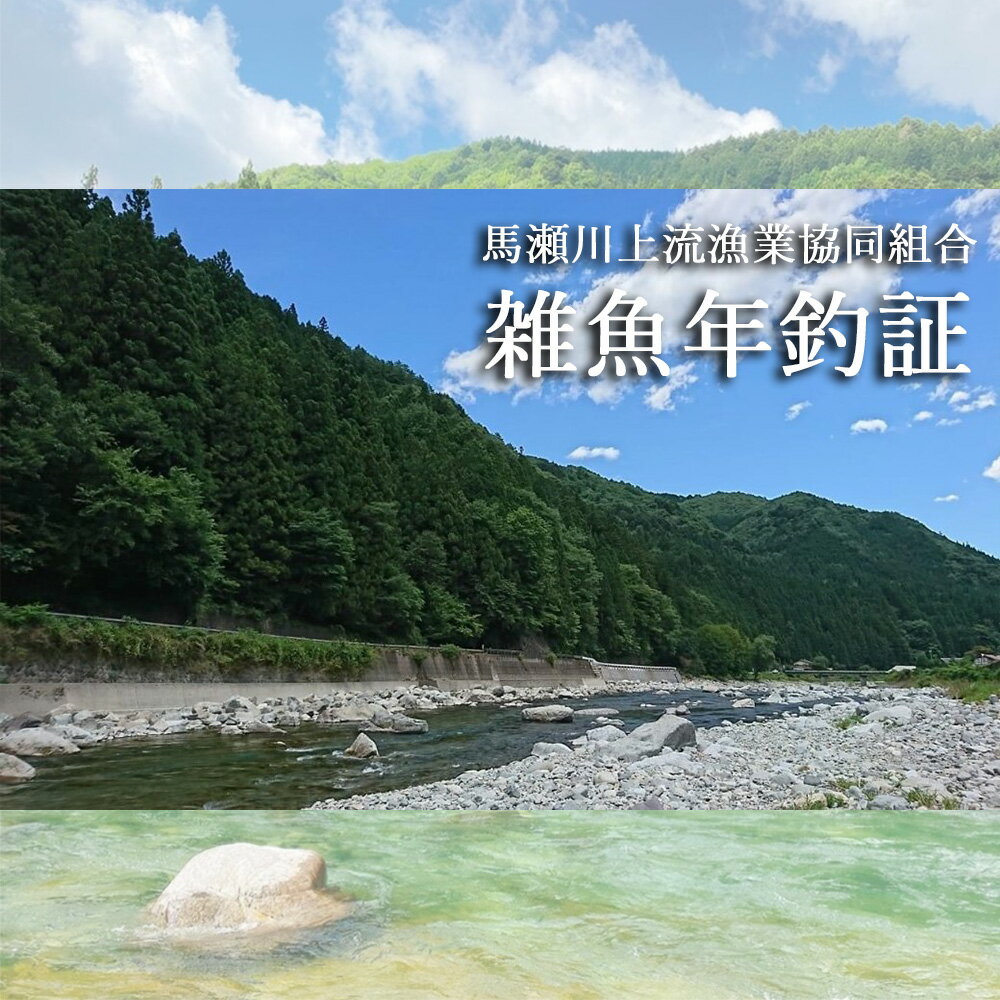 【ふるさと納税】【令和7年】馬瀬川上流雑魚年釣証1枚 2025年 雑魚 年券 釣り 渓流釣り 清流 馬瀬川 魚釣り アマゴ イワナ 岩魚 あまご 24000円 岐阜県 下呂市 つり