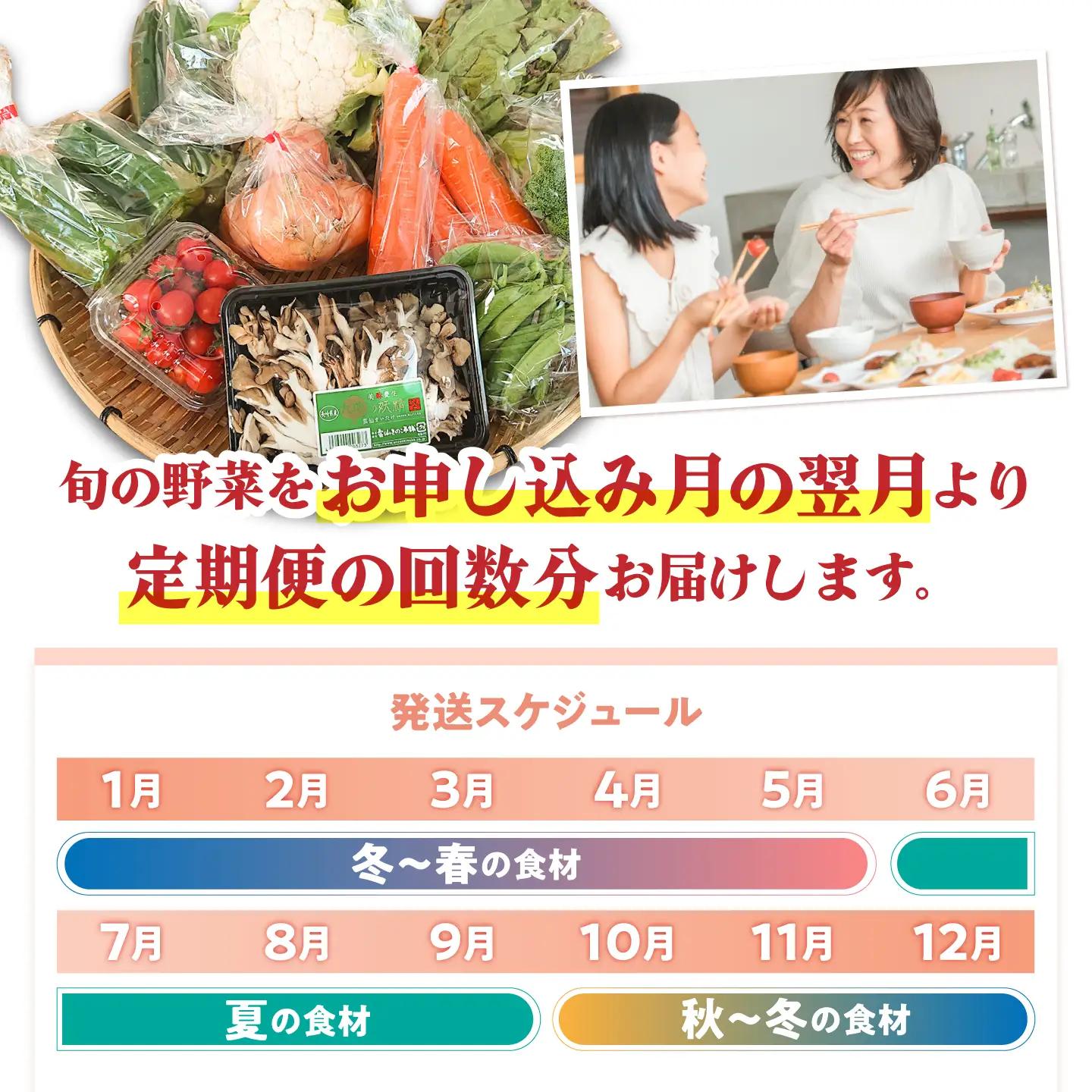 【毎月コース】野菜 キノコ 果物 11品目 詰め合わせ 10回 定期便  / 南島原市 / 吉岡青果[SCZ036]