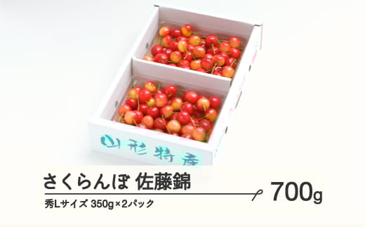 
            《先行予約》 さくらんぼ 佐藤錦 秀Lサイズ プレゼント ギフト バラ詰め 700g(350g×2パック) 2026年産 令和8年産 山形県産 ns-snslb700
          