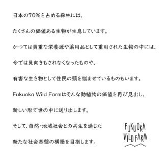 【京都亀岡 ジビエ】天然 イノシシ肉 の テリーヌ2個セット 【こだわり抜いた至極の味/プレゼントや自分へのご褒美に】ふるさと納税限定品 ※着日指定不可 ※2024年1月上旬～4月下旬頃に順次発送予定