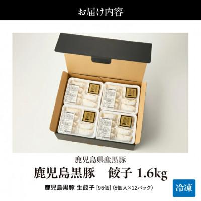 ふるさと納税 鹿屋市 鹿児島黒豚 餃子1.6kg(96個)　1289-1　 |  | 03
