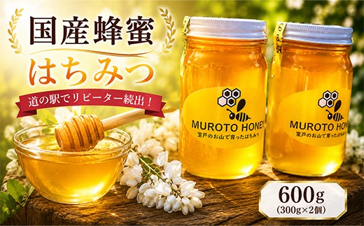 
                  【国産】はちみつ（百花蜜）600g 300g × 2本 小分け 蜂蜜 ハチミツ 数量限定 期間限定 人気 ランキング 朝食 パン 調味料 高知県 室戸市
                
