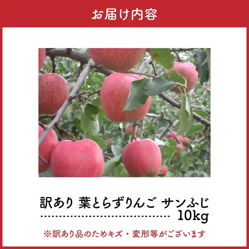 【2027年2月前半発送】【訳あり】 りんご 葉とらずサンふじ 約10kg 青森県産 サンふじ