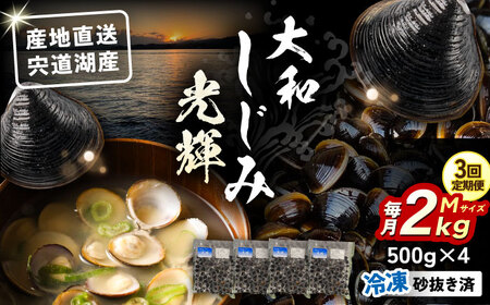 【全3回定期便】産地直送！宍道湖産 冷凍大和しじみMサイズ2kg(500g×4) 砂抜き処理済 島根県松江市/りすたむmatsue[ALDE007]