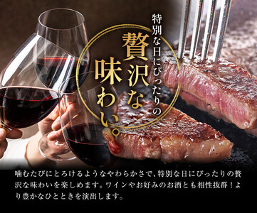 牛肉 肉 鹿児島県産北さつま 高崎牛 サーロインステーキ 2枚 600g 有限会社 太田家 《30日以内に出荷(土日祝除く)》 お肉 牛 ステーキ 鹿児島県 さつま町