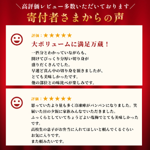 丸ごと１匹分！国産 銀鮭 1.8kg 定塩 切身｜ 冷凍 鮭 サーモン 鮭 サーモン 鮭 サーモン 鮭 サーモン 鮭 サーモン 鮭 サーモン 鮭 サーモン 鮭 サーモン 鮭 サーモン 鮭 サーモン 鮭