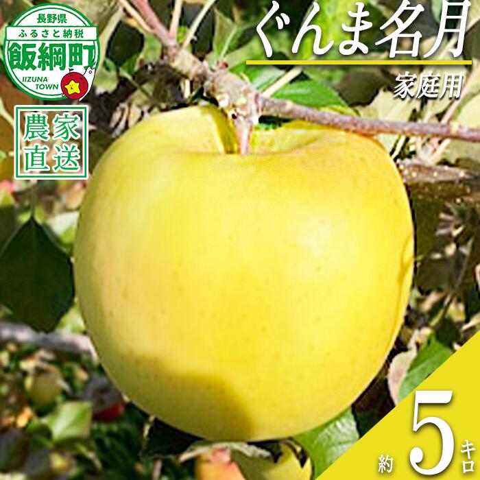 【ふるさと納税】 りんご ぐんま名月 家庭用 5kg ファームトヤ 沖縄県への配送不可 令和8年度収穫分 長野県 飯綱町 〔 信州 果物 フルーツ リンゴ 林檎 名月 長野 17000円 予約 農家直送 〕発送時期：2026年11月中旬〜2026年12月下旬 {**}