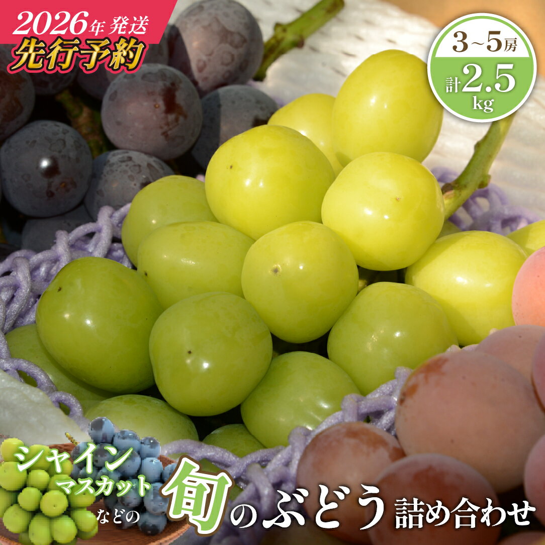 【ふるさと納税】【先行予約/2026年発送】シャインマスカット等の旬のぶどう詰め合わせ 2.5kg シャインマスカット ぶどう ブドウ 果物 セット 詰め合わせ フルーツ 2026 贈答用 限定 ふるさと 人気 おすすめ 贈答 ギフト お裾分け プレゼント 宮崎県 小林市 送料無料