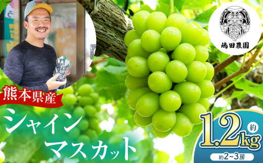 【 先行予約 】 シャインマスカット 2房 約1.2kg 和水町産 | 熊本県 熊本 和水町 くまもと なごみまち なごみ ぶどう ブドウ 葡萄 シャイン マスカット 果物 季節限定 フルーツ 季節の果物 朝摘み 直送