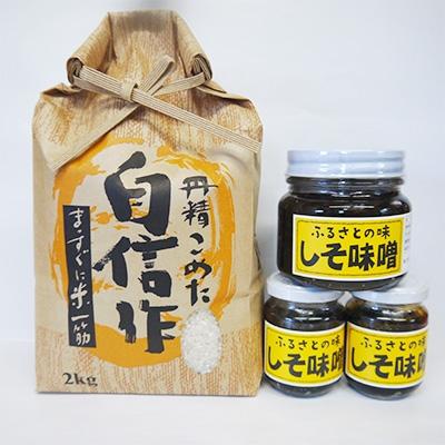 ふるさと納税 佐渡市 【令和7年産】佐渡高千産コシヒカリとご飯のお供セット