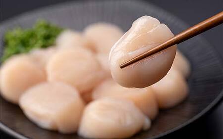 冷凍ホタテ貝柱 500g 海鮮 森町 魚貝類 帆立 ホタテ ほたて 魚介類 貝 ふるさと納税 北海道 mr1-0932