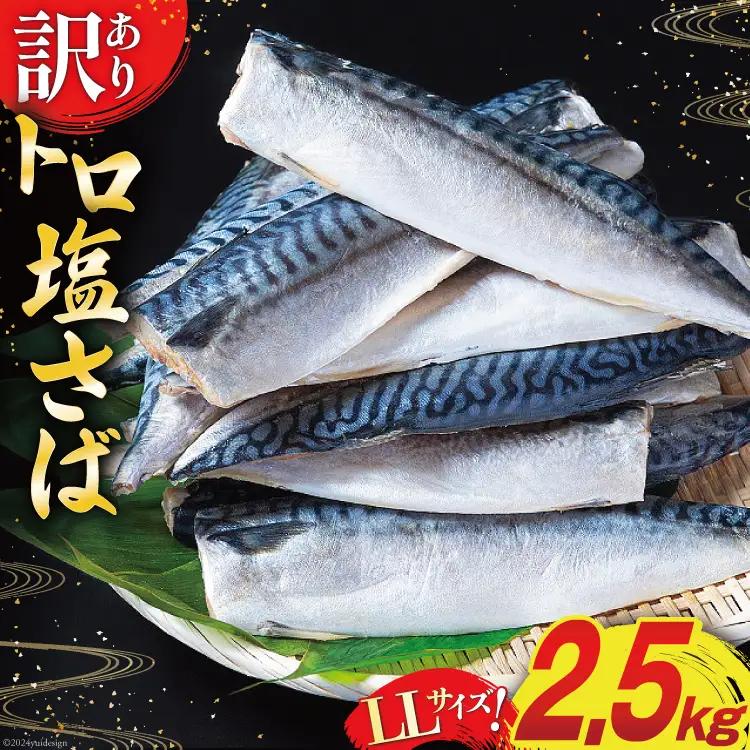 訳あり トロ塩サバ フィレ LLサイズ 2.5kg ★フィレ1枚230g超え！
