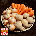 【ふるさと納税】【12ヶ月定期便】いつもの定番野菜セット 合計約10kg×12回お届け じゃがいも 玉ねぎ 人参 かぼちゃ 詰め合わせ セット ジャガイモ タマネギ ニンジン カボチャ 新鮮 長崎県産 時津町産 九州産 国産 冷蔵 送料無料