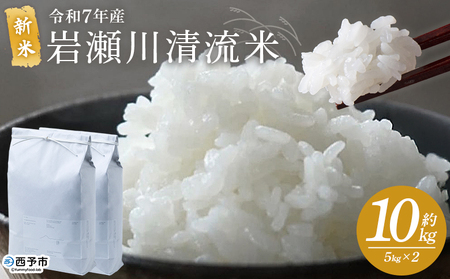 ＜令和7年産 新米 岩瀬川清流米 コシヒカリ 10kg＞ 10キロ こしひかり お米 コメ こめ 白米 精米 ご飯 穀物 鮮度 特産品 愛媛県産 西予市産 宇和町産 OTSUKAFARM 愛媛県 西予市 【常温】『2025年9月下旬から順次出荷予定』UOF0003