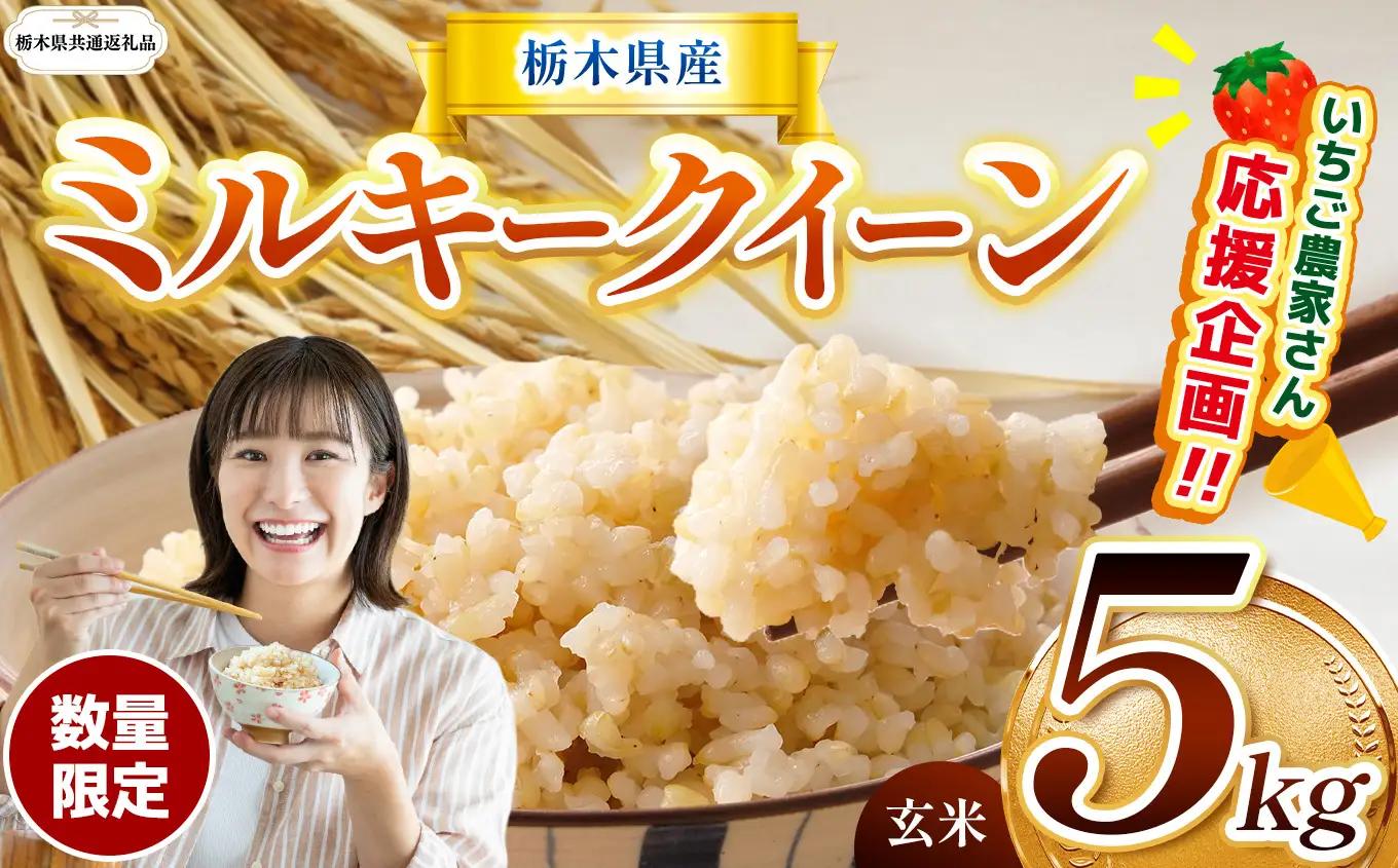 先行予約 令和8年度産 栃木県産 ミルキークイーン 5kg |【栃木県共通返礼品】