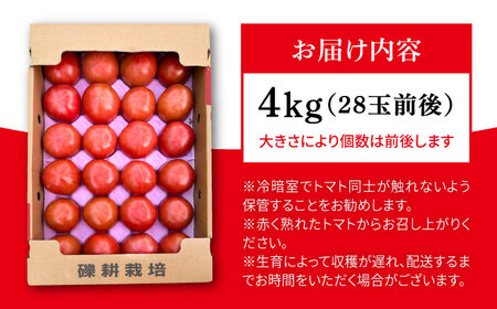 【産地直送！】糸島産 絶品 トマト かれん ( 4kg 28玉 前後 )  糸島市 / シーブ [AHC019] 大玉トマト 野菜 トマトトマトトマトトマトトマトトマトトマトトマト