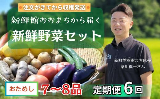 【定期便 全6回】産地直送 新鮮野菜セット《7～8品》 旬野菜 詰め合わせ 採れたて 定期便 季節 野菜 おまかせ 旬 春野菜 夏野菜 秋野菜 果物 新鮮 岩手県産 国産 詰め合わせ 定期便 定期 人気 岩手県 一関市