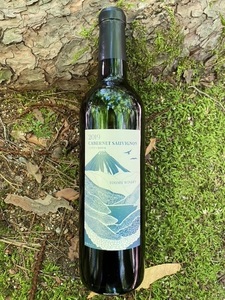 明野のマニアックな赤ワイン 2本セット シャンクレール 東夢 720ml お酒 アルコール 母の日 父の日 ブドウ 北杜 