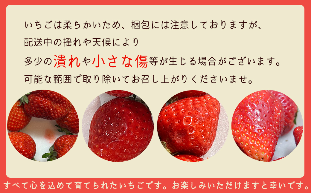 【赤村限定】福岡県ブランドいちご“あまおう”農家直送【300g×2パック】 2Z6