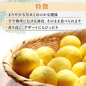 【先行予約】黄金柑 3kg 訳あり 黄金柑