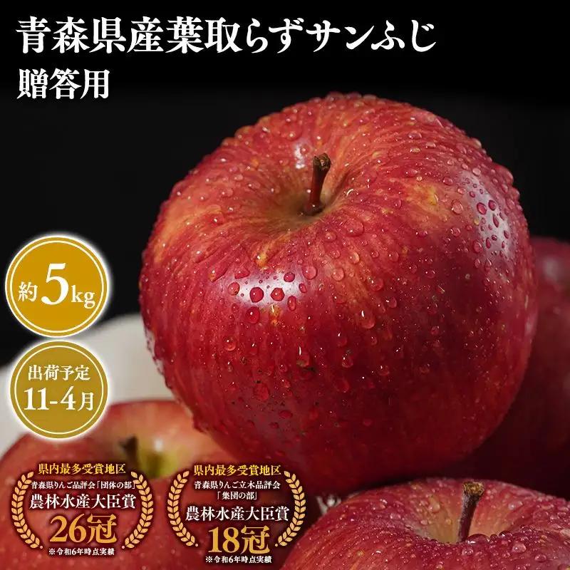 りんご 贈答用 葉とらずサンふじ5kg  [hi-0053-051]