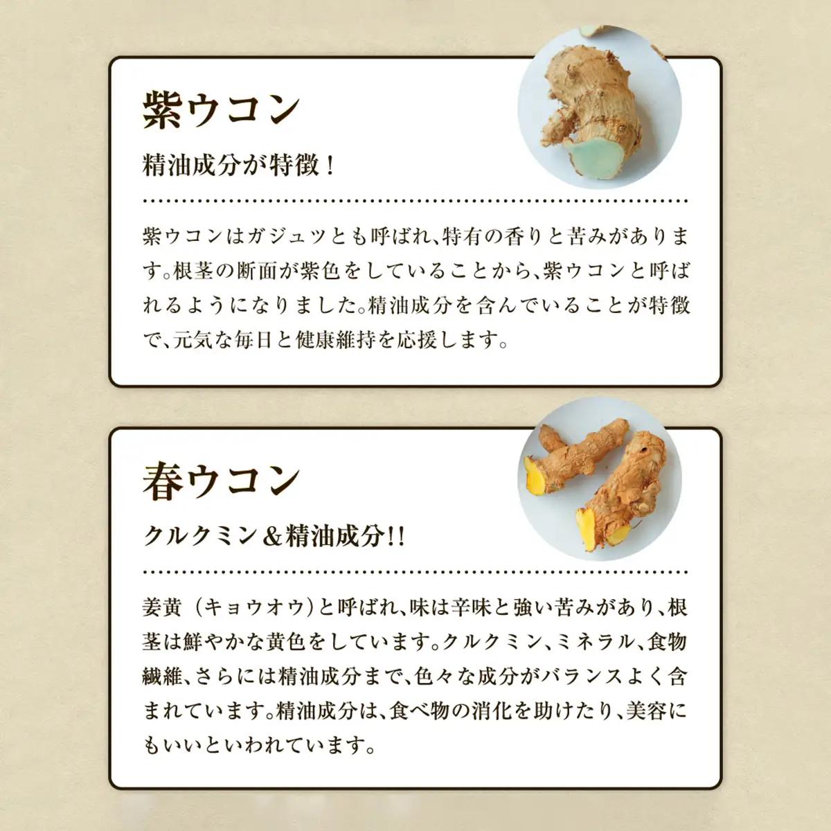 《定期便12回 2袋》琉球発酵ウコン 1袋(1粒重量250mg 3粒×31包)  | 沖縄県産の7種類のウコン | 飲みやすい タブレット 無農薬 農薬・化学肥料 不使用 自然由来 | 株式会社 しま