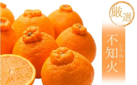 ＜2月より発送＞【先行予約】厳選不知火1kg+250g（傷み補償分）【デコポンと同品種・人気の春みかん】/ みかん 果物 くだもの フルーツ 和歌山 わかやま おすすめ 人気 有田みかん 柑橘 ミカン 不知火 でこぽん デコポン【ikd207B】