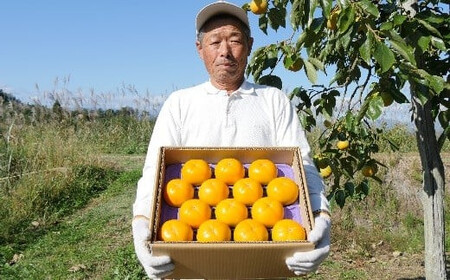 【予約開始】 柿 会津みしらず柿 4Lサイズ 12個入り 約3kg フルーツ 果物 ギフト 渋柿 会津 伊藤果樹園 ※2024年11月頃より順次発送予定 23-A