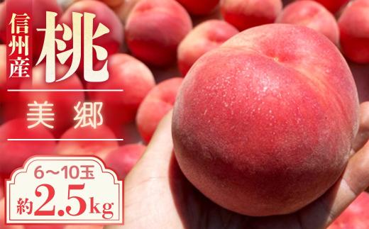 【2026年発送先行予約】桃　美郷　約2.5kg【6～10玉】農家直送　もも