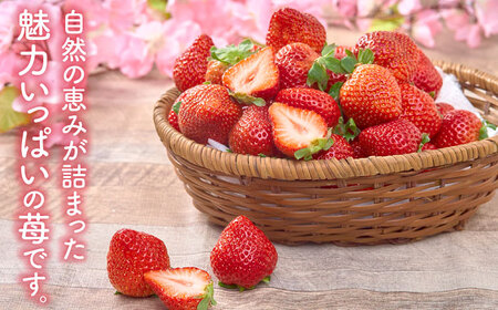 【2026年2月上旬より順次発送】福岡産【春】 あまおう 6パック 吉富町/南国フルーツ株式会社[BGAG026]