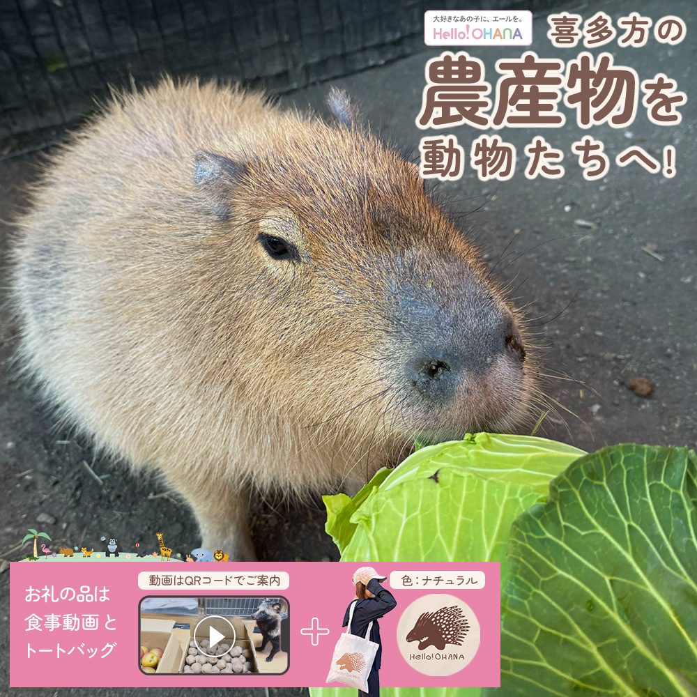 【動物推し活サービス】全国の動物たちに"喜多方の農産品"をプレゼント！〜動物デザインの「食事動画」「トートバッグ」が付いてきます〜　[カラー:ナチュラル]　【07208-0729-D】