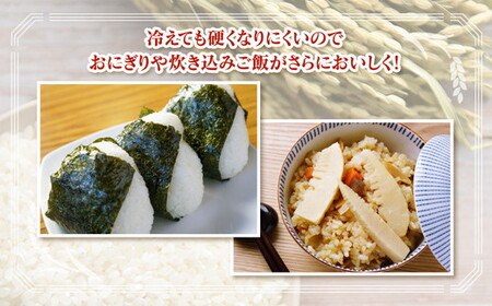 【令和7年度米】【農家直送】環境配慮「魚津のミルキークイーン（晃米）」5kg（白米） ｜新米 MK農産 白米 銘柄米 ブランド米 ご飯 おにぎり お弁当 和食 主食 国産 産地直送 甘み 香り もちも