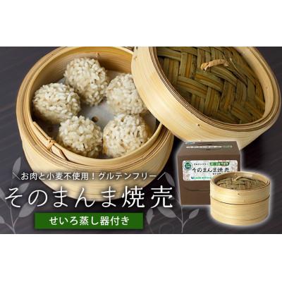 ふるさと納税 小美玉市 【最高級Bigれんこん珠美使用】冷凍そのまんま焼売(ヴィーガン認定、グルテンフリー)蒸籠セット