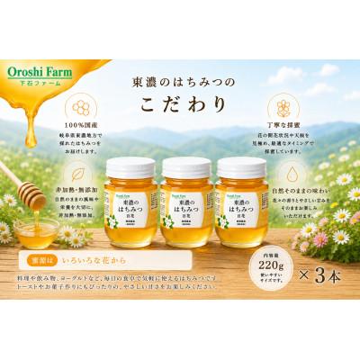 ふるさと納税 土岐市 東濃のはちみつ　百花　220g　3本セット