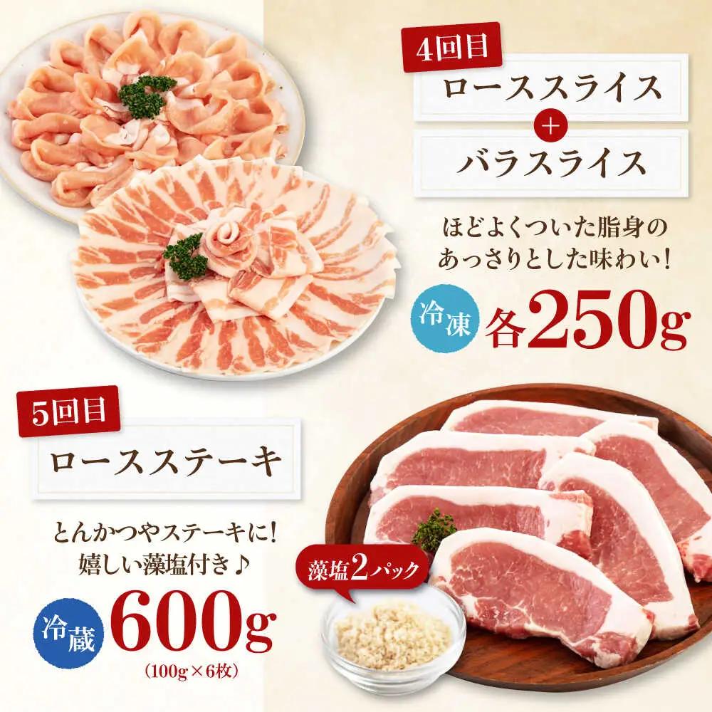 【全5回定期便】平田牧場 バラエティ定期便 2~3人前  豚肉 ロース バラ肉 ステーキ [AJAP126]