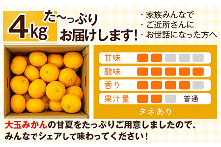 甘夏 訳あり 4kg 甘夏